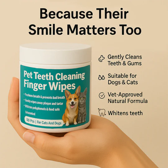 🐶Max Dental Wipes | Pack Of 50 | Sale 50% Off🐶